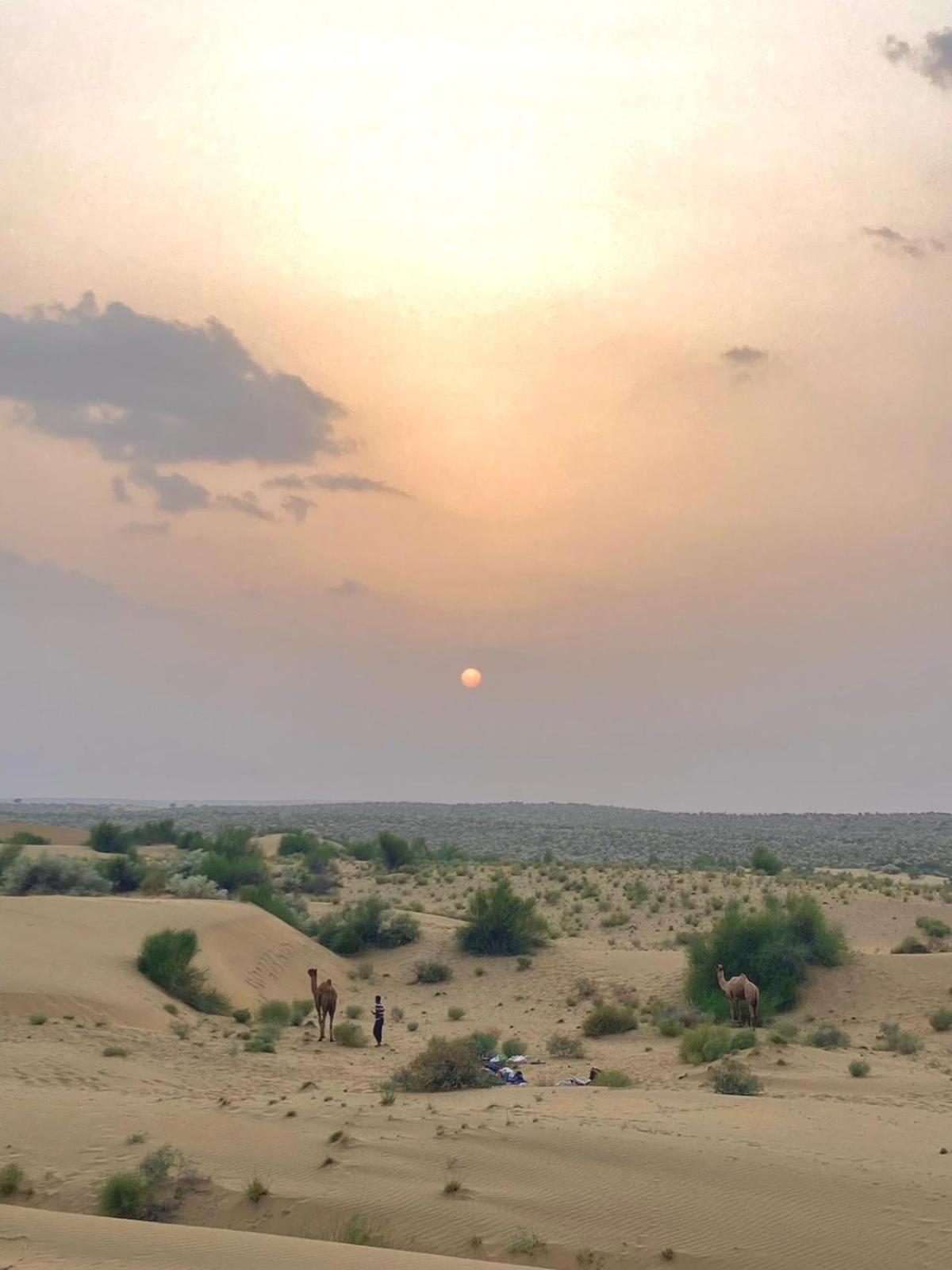 Crazy Camel Hotel & Safari Джайсалмер Екстер'єр фото